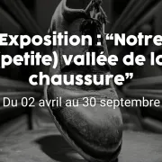 Exposition