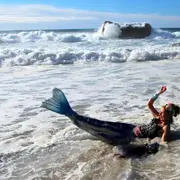 Exposition A la croisée des contes