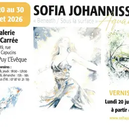 Exposition à la galerie La Carrée : Sofia Johannissen