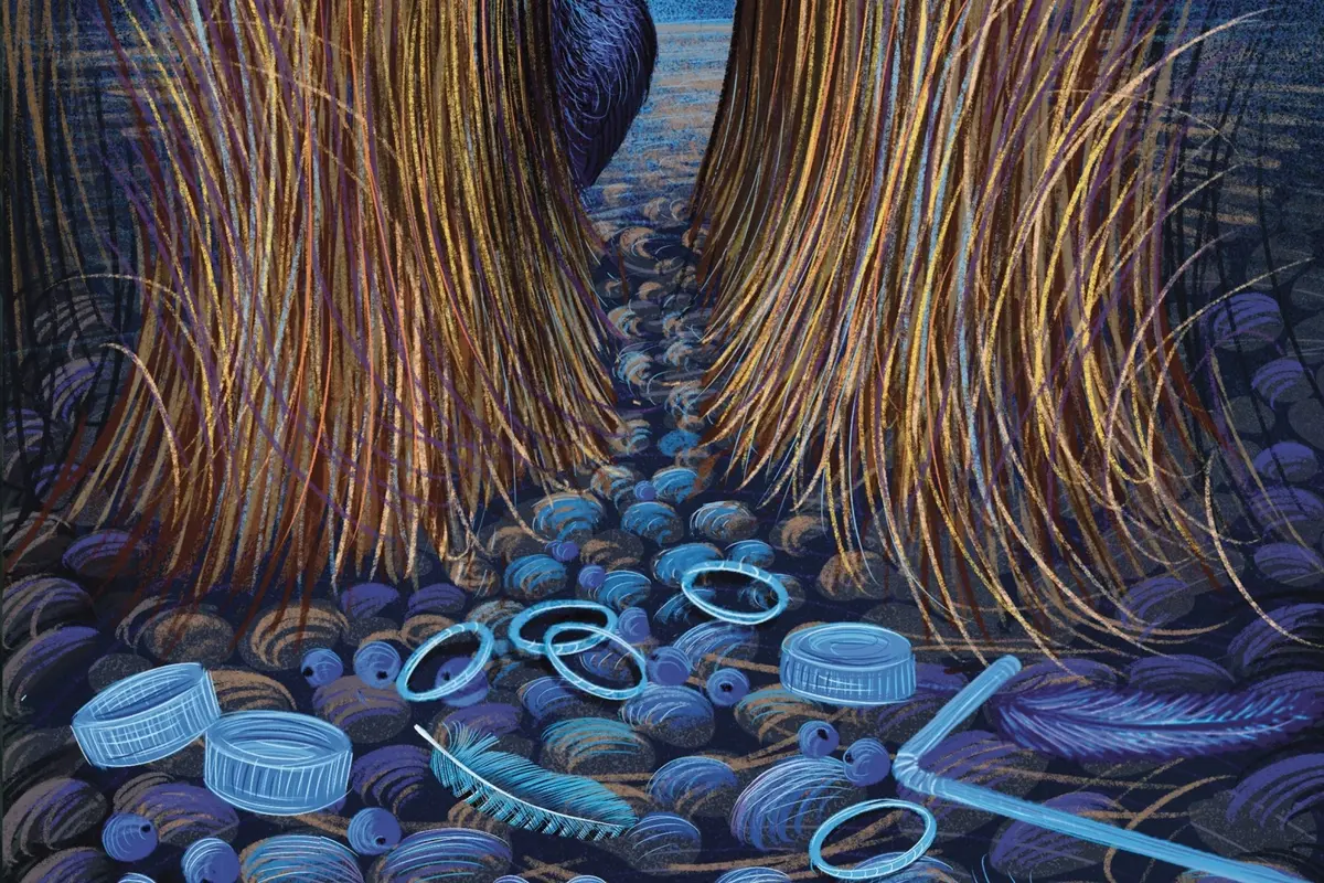 Exposition À LA LOUPE : PETITES CURIOSITÉS ET COLLECTIONS D'ISABELLE SIMLER