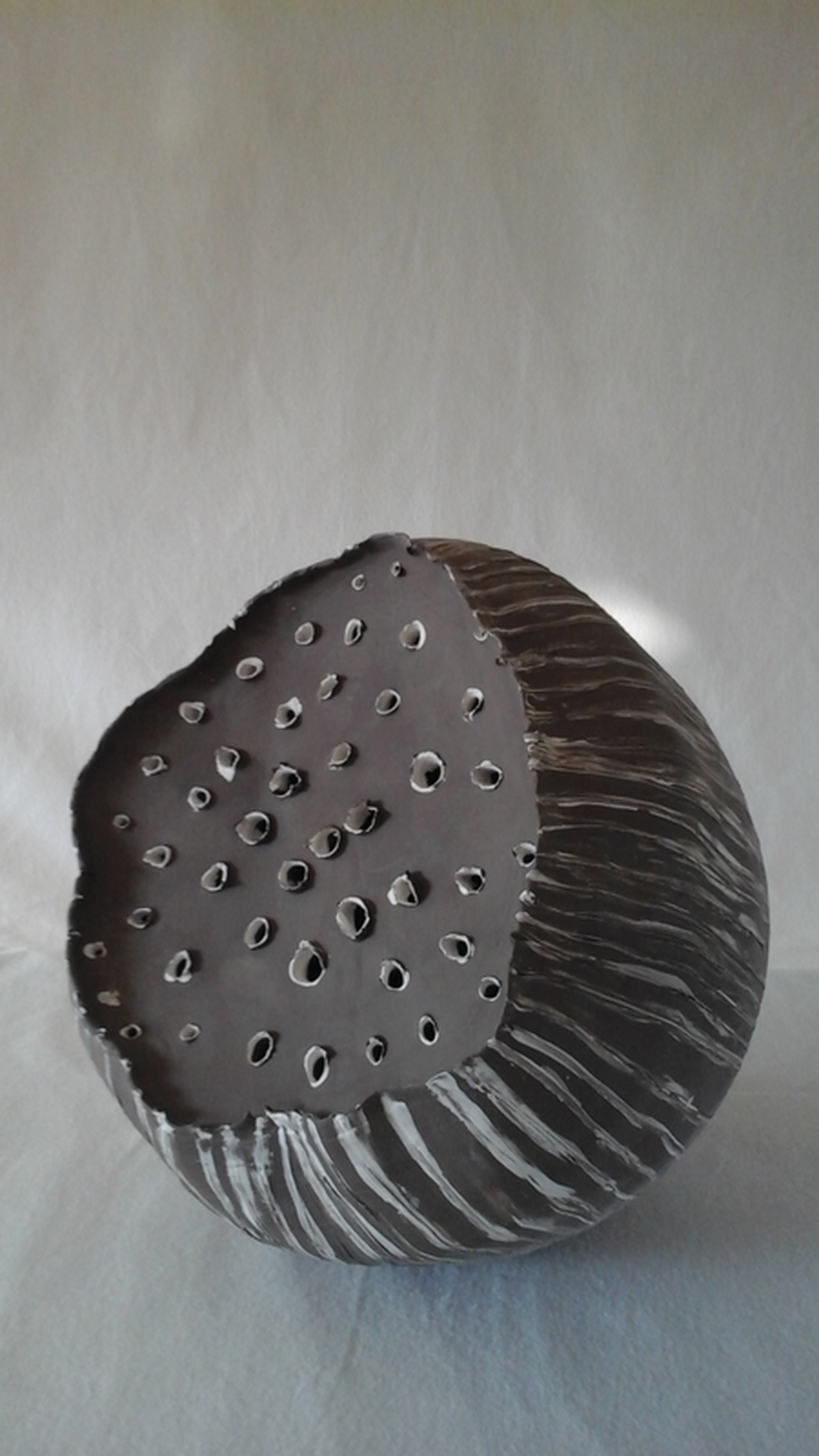 Exposition à la Maison de Loire : Harmonie sauvage