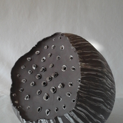 Exposition à la Maison de Loire : Harmonie sauvage