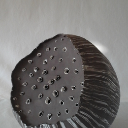 Exposition à la Maison de Loire : Harmonie sauvage