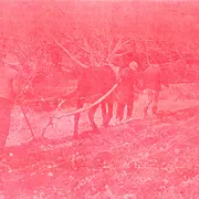 Exposition à la Vinadie  : Archives et matière photographique, Lilie Pinot