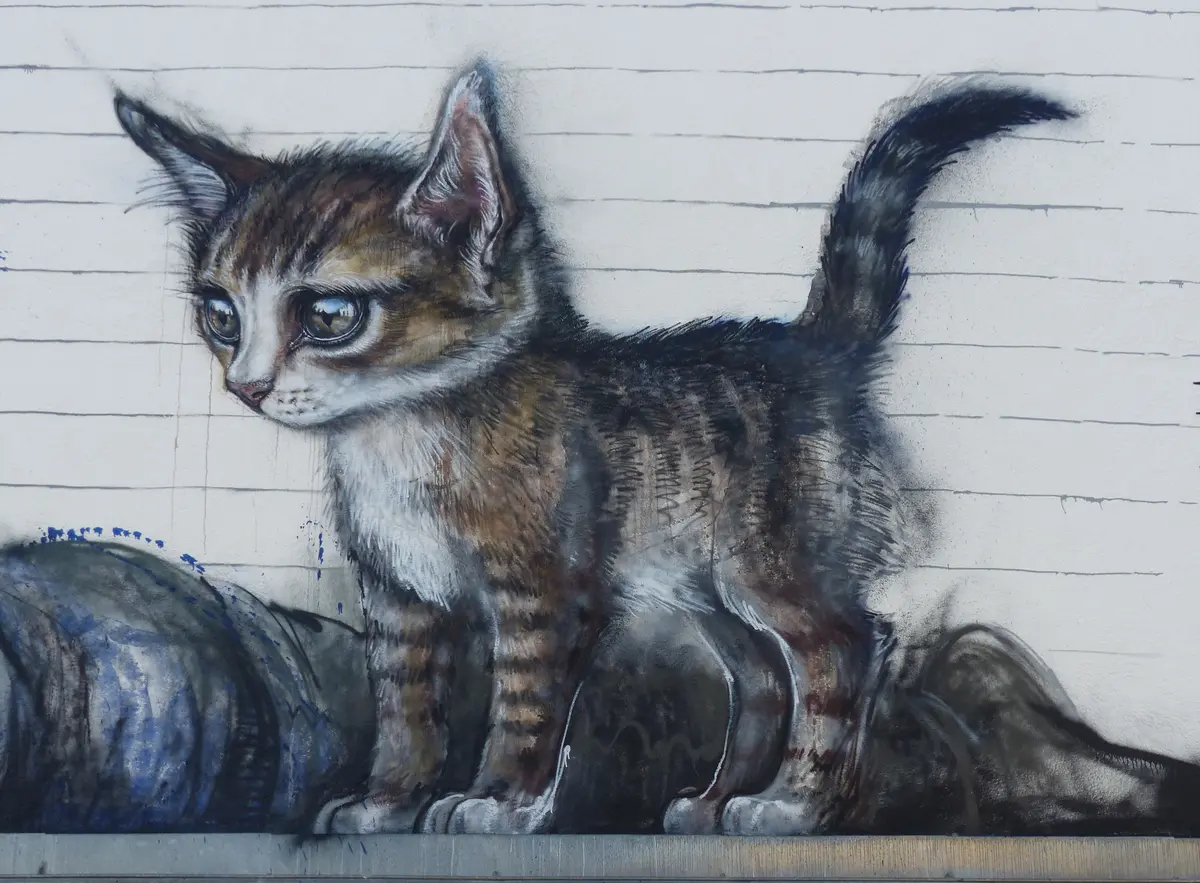 Exposition à Laon : Chat, chat, chats !