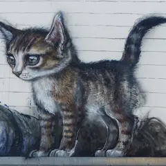 Exposition à Laon : Chat, chat, chats !