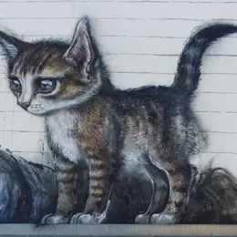 Exposition à Laon : Chat, chat, chats !