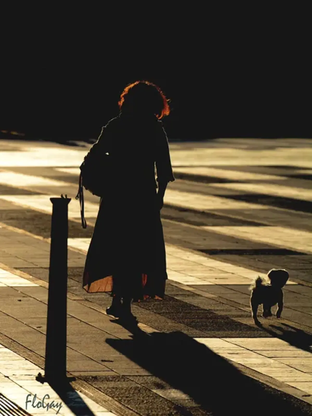 Exposition « A peine entrevu »