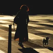 Exposition « A peine entrevu »