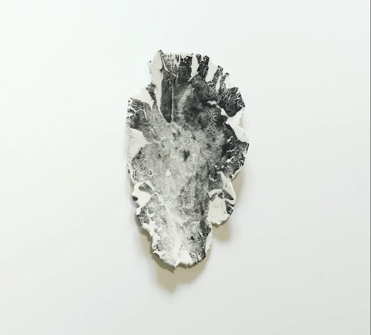 Exposition Affinités Biomorphiques - Art Contemporain