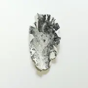 Exposition Affinités Biomorphiques - Art Contemporain