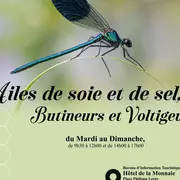 Exposition - Ailes de soie et de sel, butineurs et voltigeurs