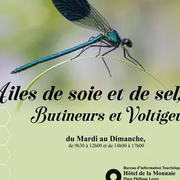 Exposition - Ailes de soie et de sel, butineurs et voltigeurs