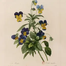 Exposition : Alors nous irons toruver la couleur ailleurs