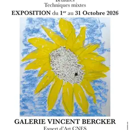 Exposition - Ambi - Soleil bleu
