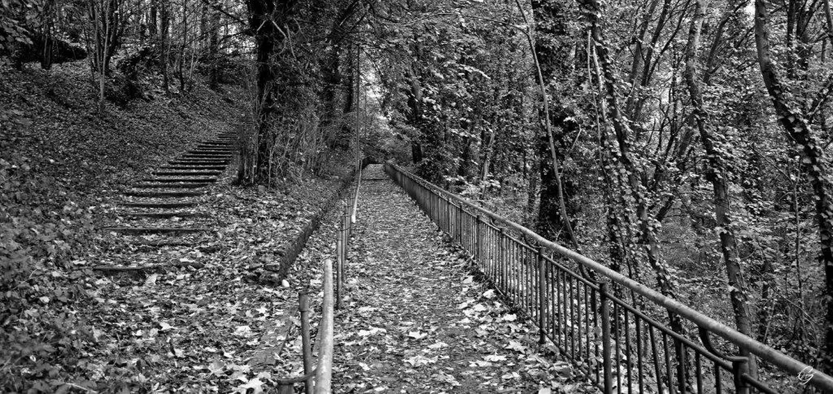 Exposition - Anne Mura