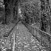 Exposition - Anne Mura