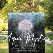 Exposition Aqua Mystica à Saint-Rémy-de-Provence
