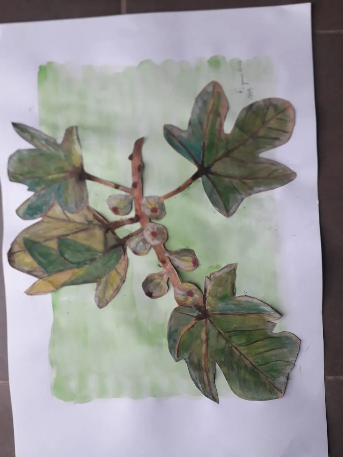 Exposition : Aquarelles
