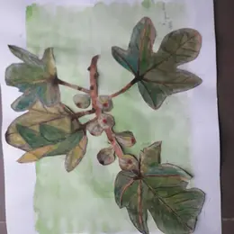 Exposition : Aquarelles