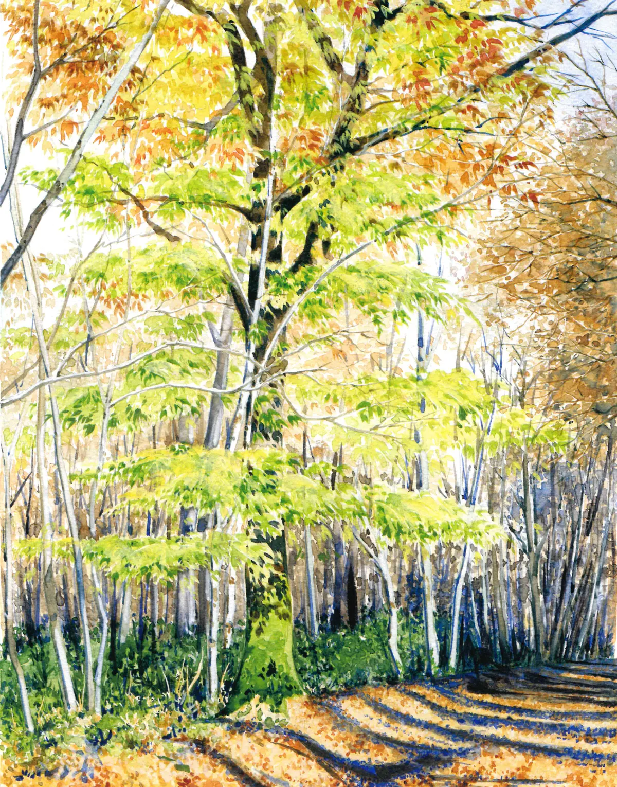 Exposition Aquarelles d'Isabelle Gatto-Sandri