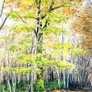 Exposition Aquarelles d'Isabelle Gatto-Sandri