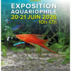 Exposition aquariophile 2026 à Trouville-sur-Mer
