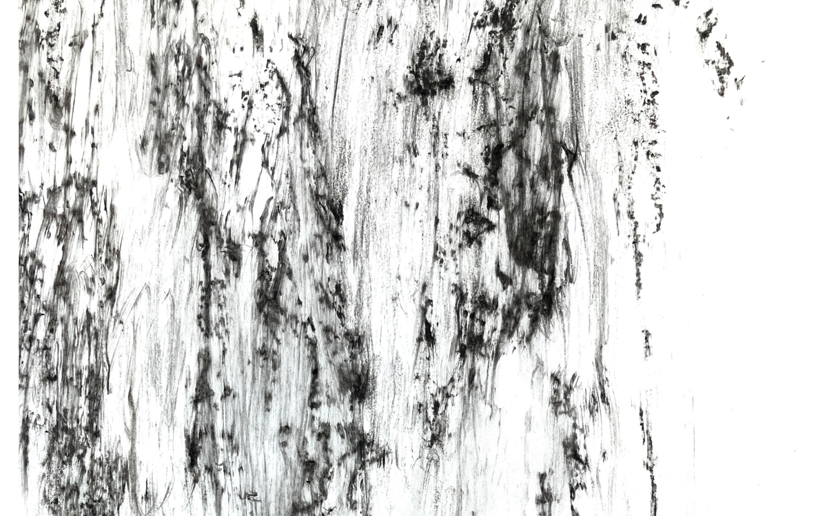 Exposition Arborescences, artiste Linda Williams