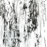 Exposition Arborescences : des forêts suédoises au pavé de Montmartre