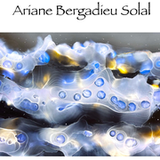 Exposition | Ariane BERGADIEU-SOLAL - Fluide Art