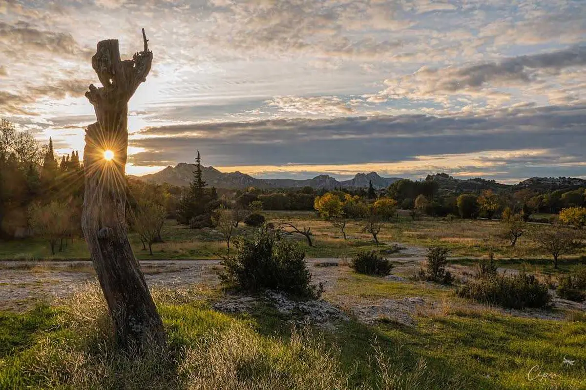 Exposition Art Alpilles- Ombres et Eclats