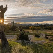 Exposition Art Alpilles- Ombres et Eclats