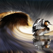 Exposition artistique à la Maison de Loire : Tourbillons