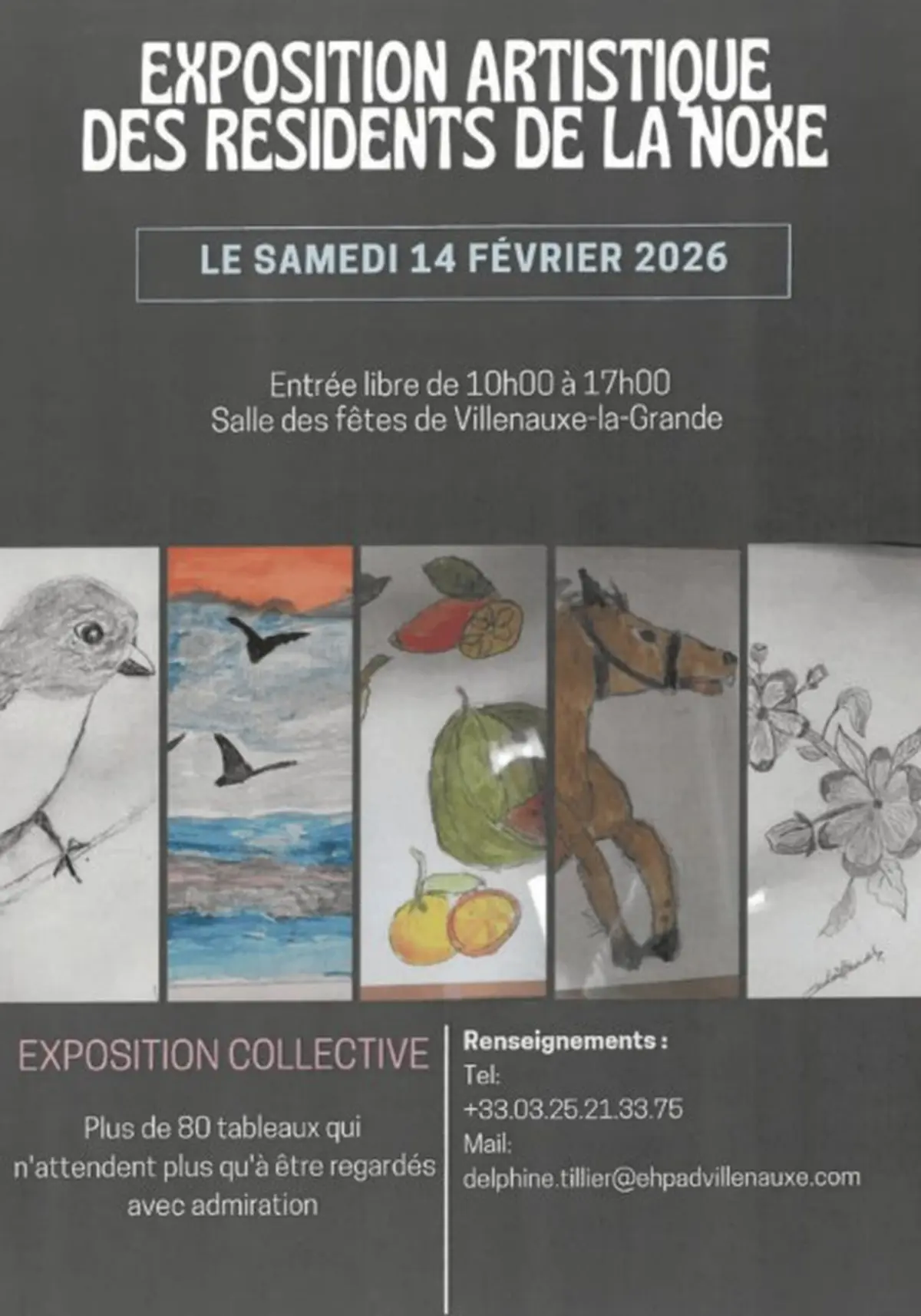 Exposition Artistique des résidents de la Noxe  à la salle des fêtes de Villenauxe-la-Grande