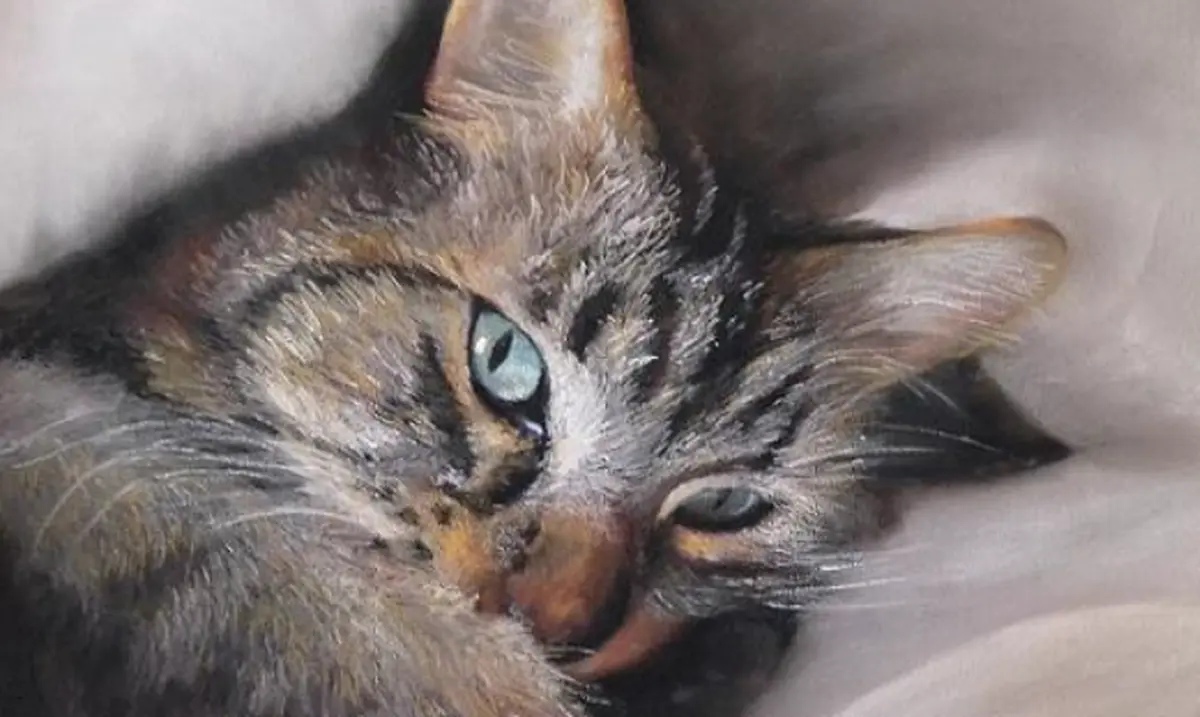 Exposition artistique SOS chats errants 87