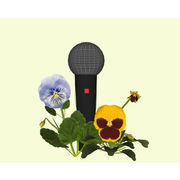 Exposition au Bel Ordinaire: La Barrière de la langue