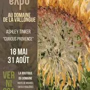 Exposition au Domaine de la Vallongue : Ashley Tinker