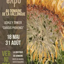 Exposition au Domaine de la Vallongue : Ashley Tinker