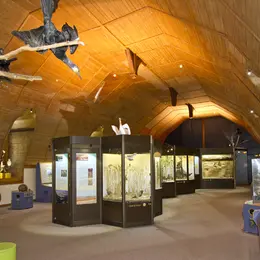 Exposition au muséum d'histoire naturelle de Blois
