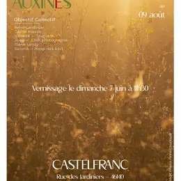 Exposition Auxines au Jardin des Sens