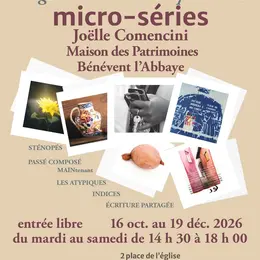Exposition avec Micro-Séries