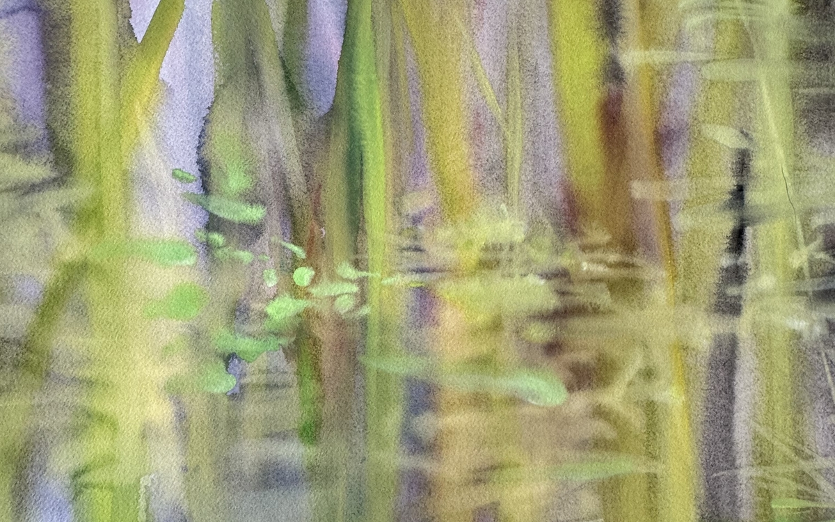 Exposition Bambous. Artiste Alexandra Deman. Dessins à l'aquarelle. Mairie du 9