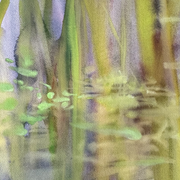 EXPOSITION BAMBOUS, d'ALEXANDRA DEMAN. A visiter pour la Semaine du dessin.