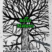 Expositionbelles natures de Daniel Nassoy