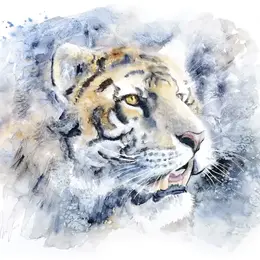 Exposition « Beneath » - Sous la surface