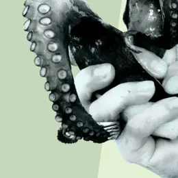 Exposition Bicéphale (8-15 juin) au Wilde