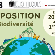 Exposition | Biodiversité