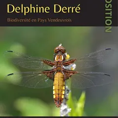 Exposition : Biodiversité en pays Vendeuvrois