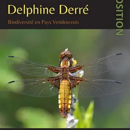 Exposition : Biodiversité en pays Vendeuvrois