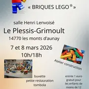 Exposition « Briques Lego®» au Plessis Grimoult